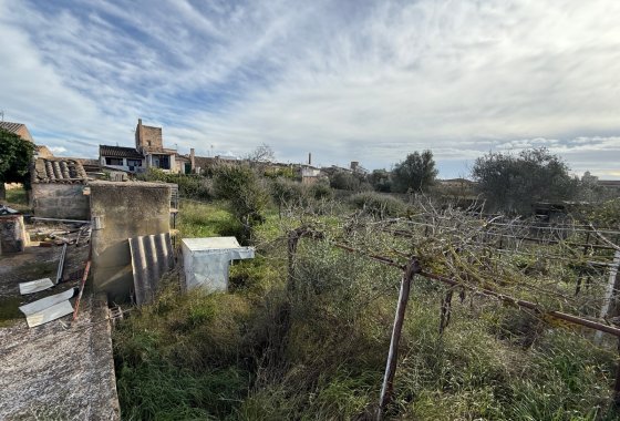 Plot / Land - Resale - Llucmajor - Llucmajor