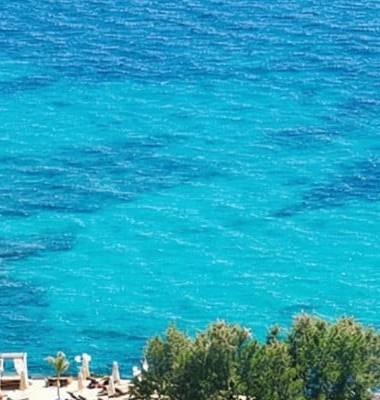 Complete property services